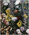 Chrysanthemums in the Garden at Petit-Gennevilliers, Gustave Caillebotte (French, Paris 1848–1894 Gennevilliers), Oil on canvas
